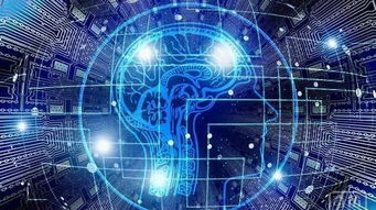 人工智能系统开发 重塑医疗保健未来的核心引擎