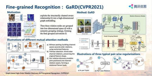 腾讯优图PRCV 2021分享 视觉AI飞跃与内容理解新实践